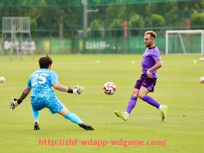 问鼎娱乐官网-2019赛季火箭队比赛录像合集及文字战报整理