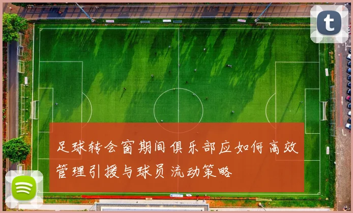 足球转会窗期间俱乐部应如何高效管理引援与球员流动策略