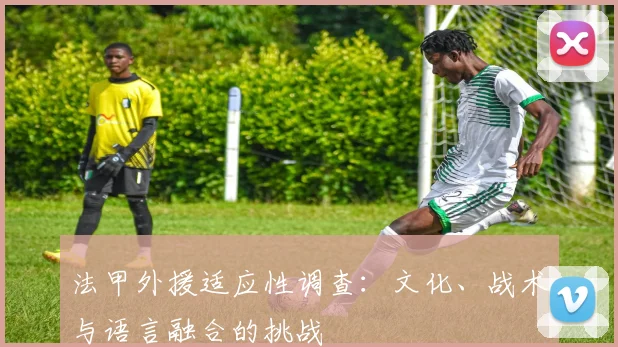 法甲外援适应性调查：文化、战术与语言融合的挑战