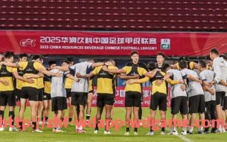 问鼎娱乐官网-新赛季英超球队球员完整名单及战术位置分布