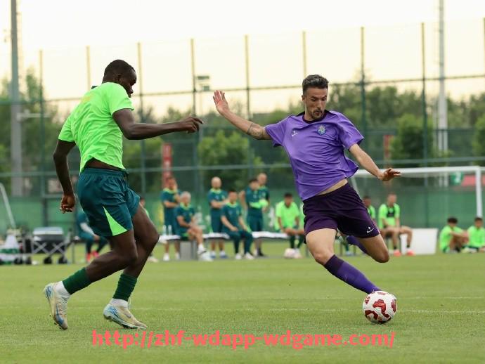 问鼎娱乐官网-西甲积分榜数据库介绍与历史数据查询方法